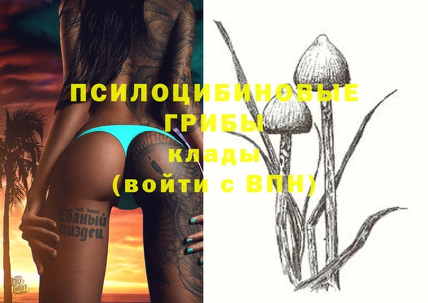 мефедрон Новодвинск
