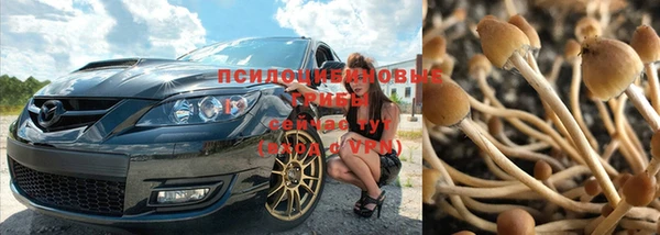 spice Новокубанск