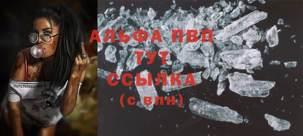 МДПВ Новозыбков