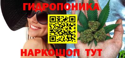ГАЛЛЮЦИНОГЕННЫЕ ГРИБЫ Гусь-Хрустальный