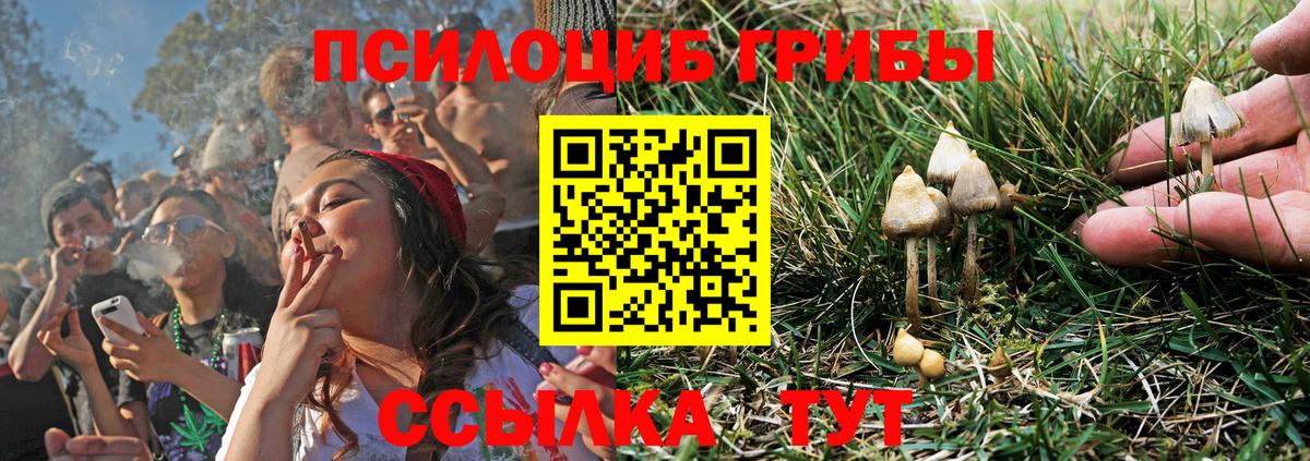Псилоцибиновые грибы Psilocybine cubensis  Псилоцибиновые грибы мицелий  Вход с VPN  Октябрьский 
